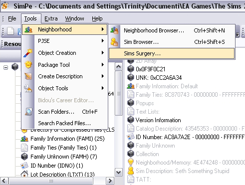 Exportsim-ts2 03.gif