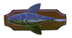 Fish pescevampiro.jpg