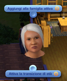 Testcheat simtarg.jpg