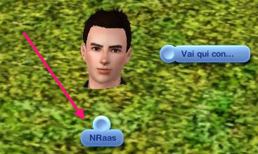 Ts3 Nraas DebugEnabler start.jpg