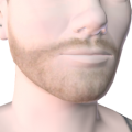 Ts3 ep3 cas ma barba 02.png