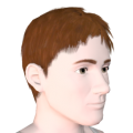 Ts3 ep4 cas ma hair 02.png