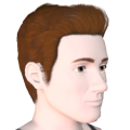 Ts3 ep4 cas ma hair 03.png