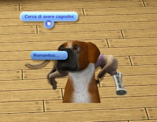 Ts3 ep5 puppies 1.jpg