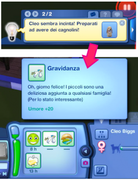 Ts3 ep5 puppies 2.png
